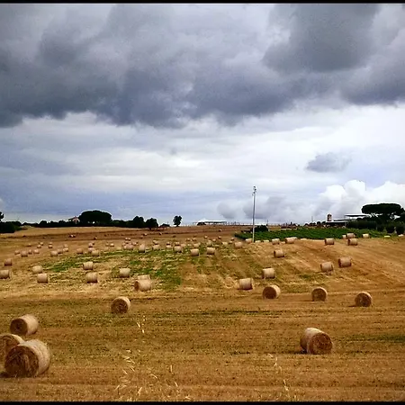 Farm stay San Giusto *