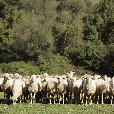 Farm stay San Giusto *