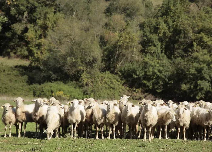 Farm stay San Giusto *